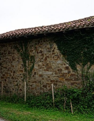 Muro