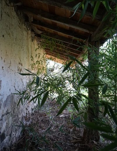 Pórtico