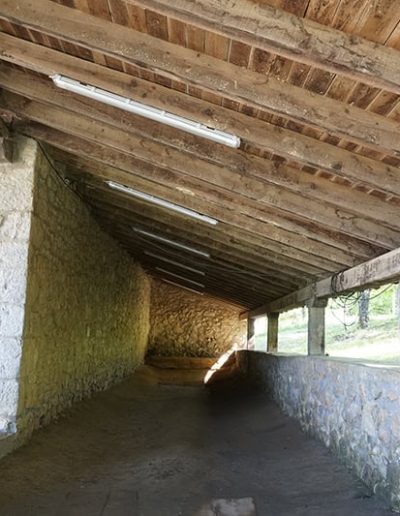 Bolera